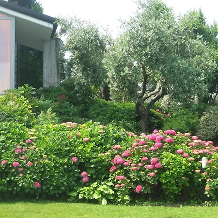 Bed & Breakfast Adriano 3*